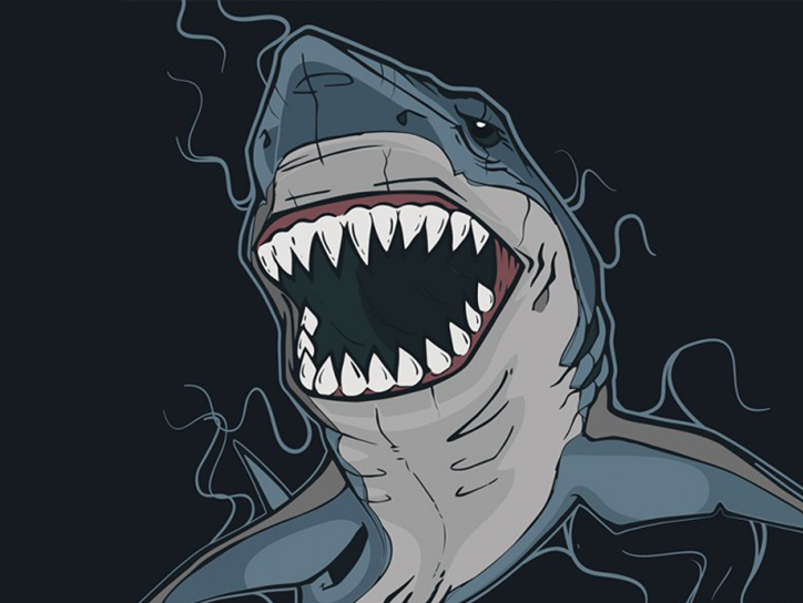 Expert Tips to Avoid A Serious Shark Encounter